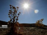 کاهش ساعت کاری ادارات خوزستان در روز دوشنبه