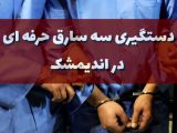 دستبند پلیس بر دستان سارقان حرفه ای