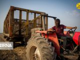 تخصیص سوخت به تراکتورهای اندیمشک با رصد هوشمند ماهواره‌ای